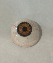 Load image into Gallery viewer, Ocular Prostheses Artificial Prosthetic Eye With Sterilized Case
