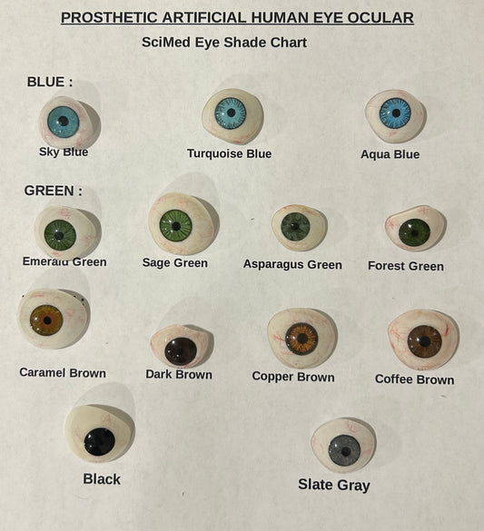 Ocular Prosthetic Eye Prosthesis Human Artificial Eye Pack Of 10 Brown Shades