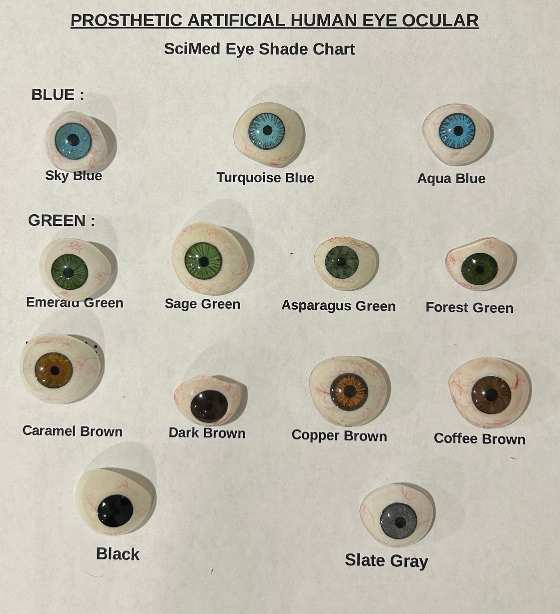 Ocular Prosthetic Eye Prosthesis Human Artificial Eye Pack Of 10 Brown ...