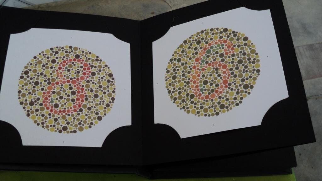 Ishihara Color Vision Test Book With Occluder