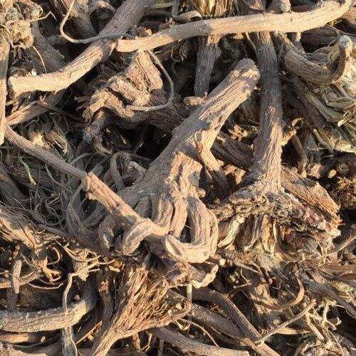 Serpentina Snake Root Sarpagandha Rauwolfia Chandrabhaga Powder And Roots Ayurvedic Herb Original