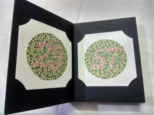 Ishihara Color Vision Test Book With Occluder