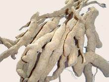 Charger l&#39;image dans la galerie, Serpentina Snake Root Sarpagandha Rauwolfia Chandrabhaga Powder And Roots Ayurvedic Herb Original
