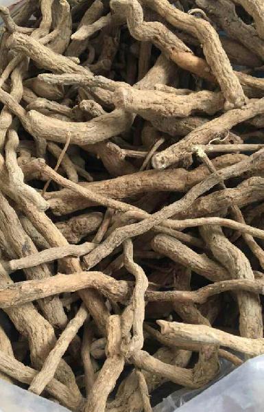 Serpentina Snake Root Sarpagandha Rauwolfia Chandrabhaga Powder And Roots Ayurvedic Herb Original